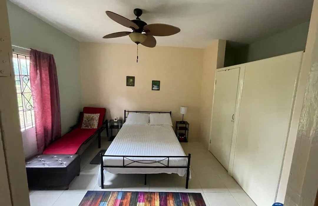 Mohills Cottages Montego Bay-1
