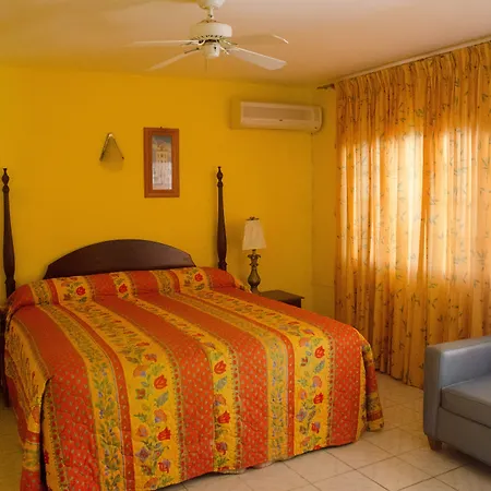 Guest House Villa Royal-3